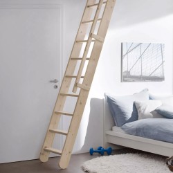 Échelle de meunier / escalier gain de place EasyStep